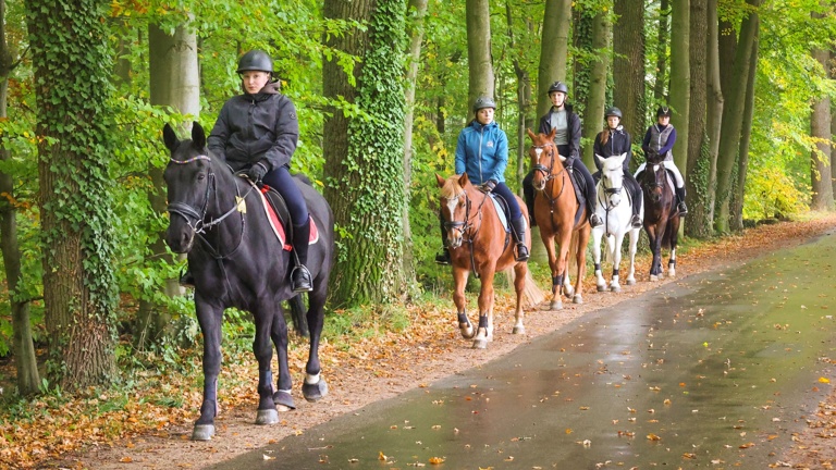 Neues Schulpony für den ZRFV Riesenbeck