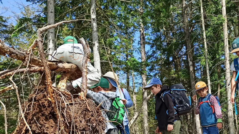 Außenklassenzimmer für die Freie Waldorfschule Linzgau in Ostrach