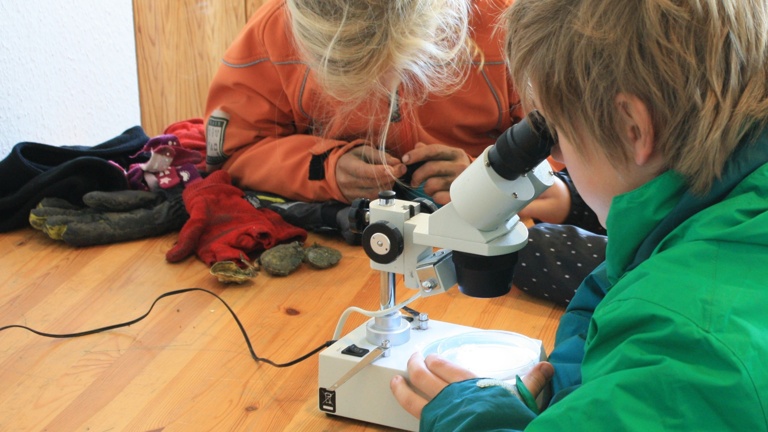 Umweltbildung für Schulklassen im Nationalpark-Haus Juist