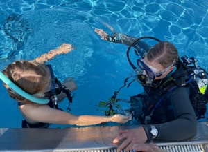 Tauchen & Schwimmen kann leben Retten