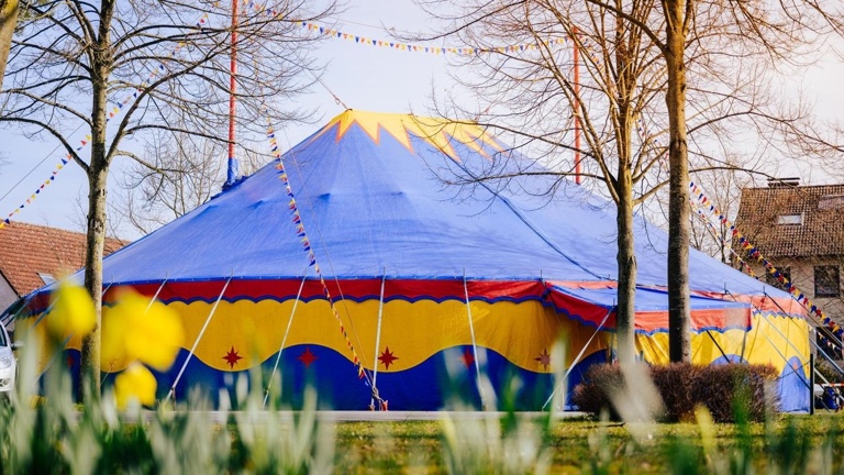 Volksbank: Zirkus macht Schule - für die Grundschule Sachsenhagen