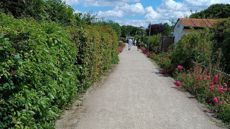 Für unseren Gartenverein ein neues Wassernetzwerk und neue Wege