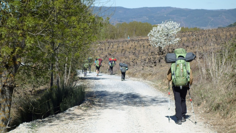 Wandern auf Jakobsweg