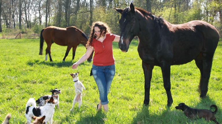 Tiere retten, heilen und vermitteln